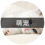 萌宠
